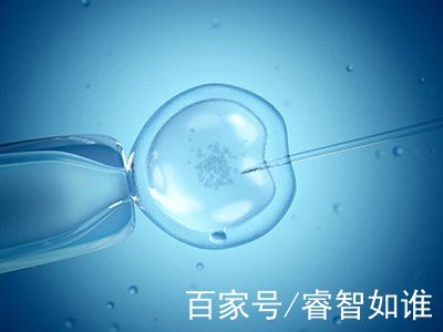 孕妈供卵代怀助孕咨询微信群